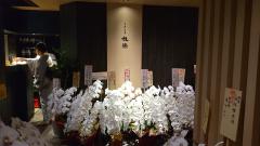 �����Ϥ� ����